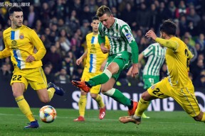 今年会官网-拉斯帕尔马斯降级