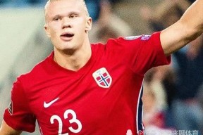 今年会app-荷兰主场击败挪威,积分暂时排名第二的球员