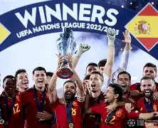 冰岛球员获得冠军荣誉，冰岛国家队光荣晋级(冰岛球员获得冠军荣誉,冰岛国家队光荣晋级了吗)